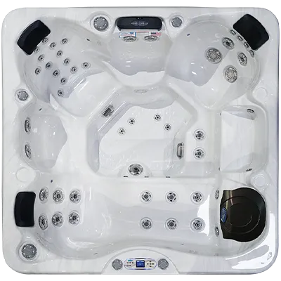 Avalon EC-849L hot tubs for sale in Redondo Beach