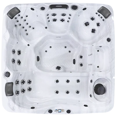Avalon EC-867L hot tubs for sale in Redondo Beach