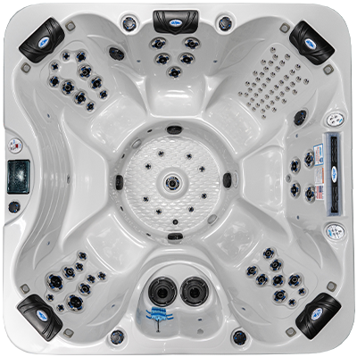 Laguna PL-793B hot tubs for sale in Redondo Beach